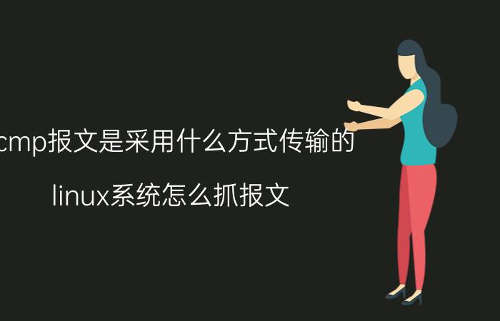 icmp报文是采用什么方式传输的 linux系统怎么抓报文？